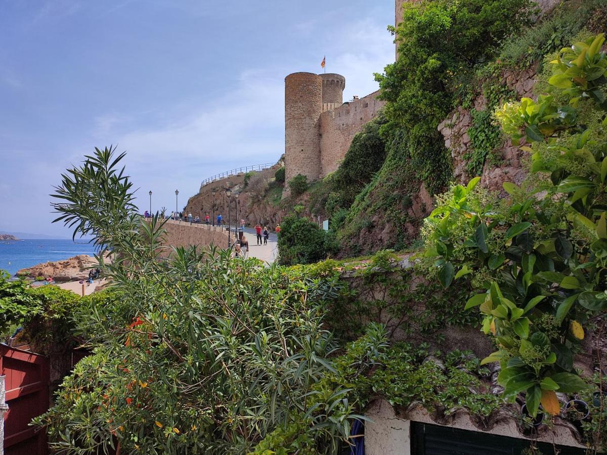 Hotel Cap D'Or - Children Only From 12 Years Old Tossa de Mar Dış mekan fotoğraf